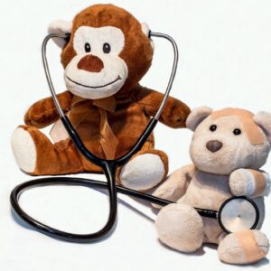 Monkey Teddy